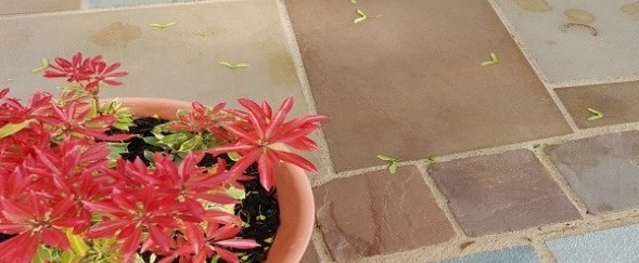 sawn-raj-green-cobbles